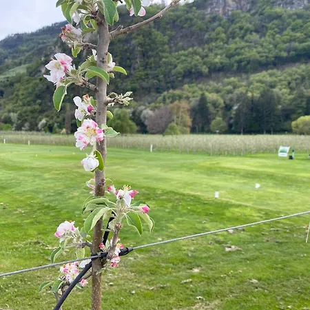 Boutique-hotel Ballguthof Am Golfplatz 4*